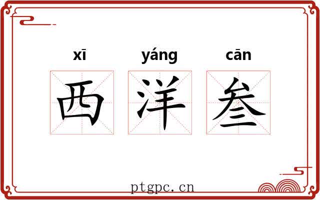 西洋叁