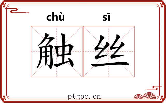 触丝