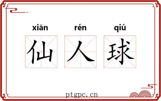 仙人球