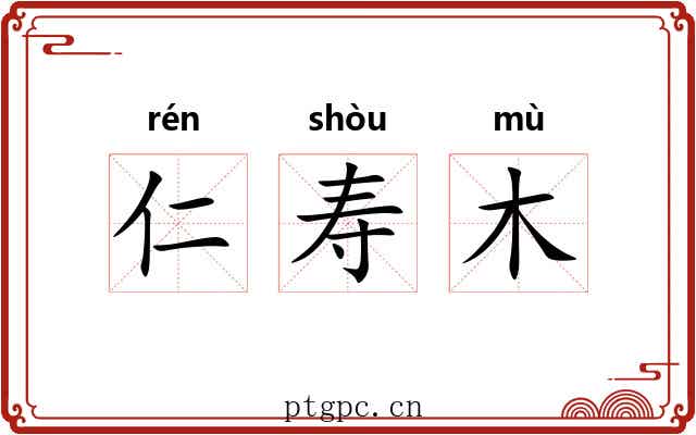仁寿木