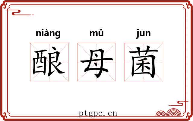 酿母菌 酿母菌