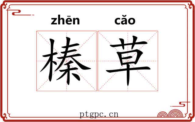 榛草 榛草