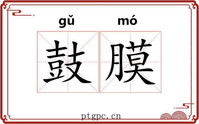 鼓膜