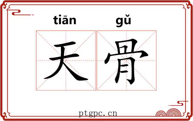 天骨