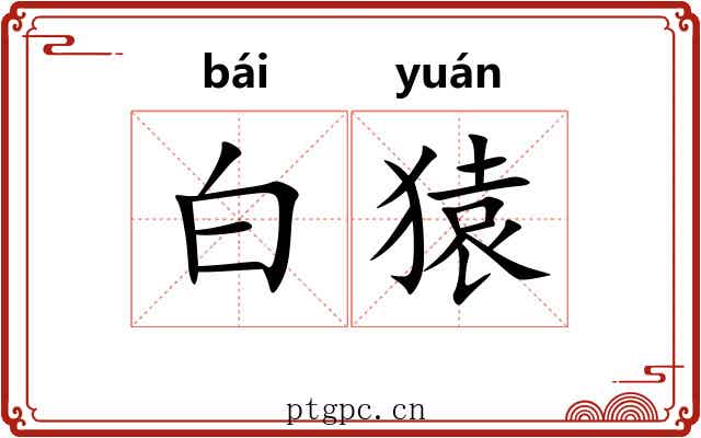 白猿