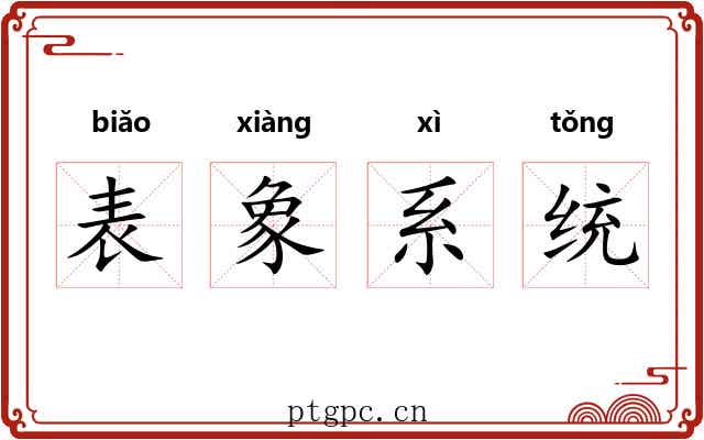 表象系统