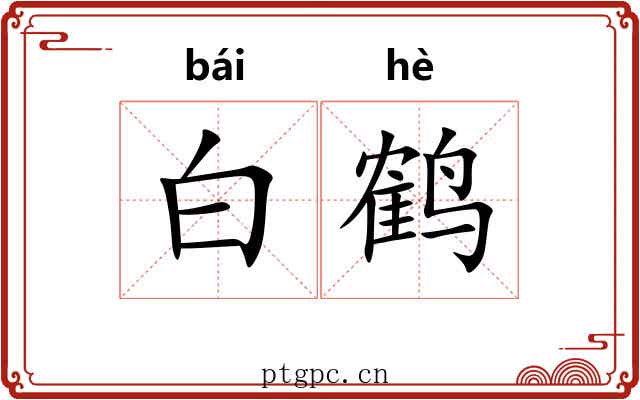白鹤 白鹤