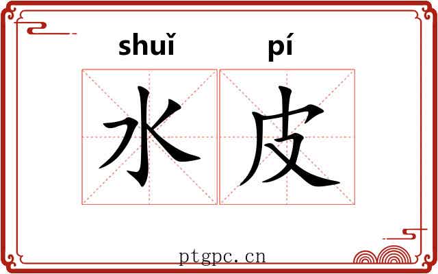 水皮