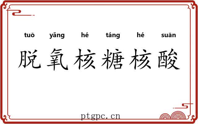 脱氧核糖核酸
