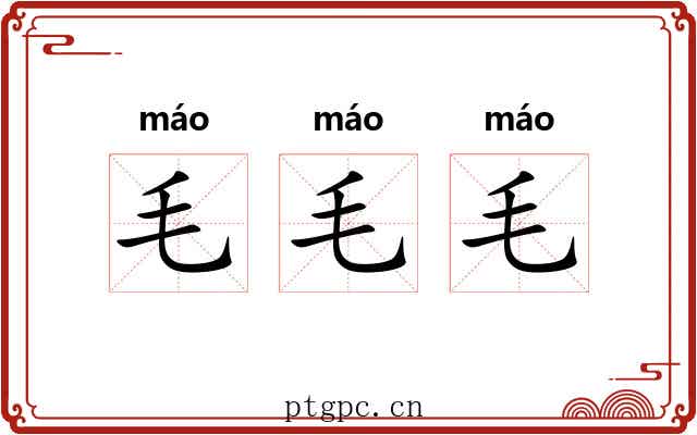 毛毛毛