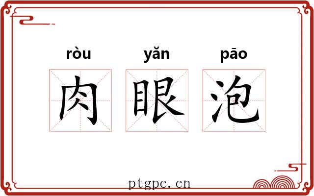 肉眼泡 肉眼泡