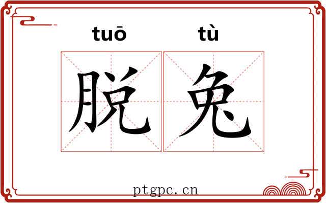 脱兔