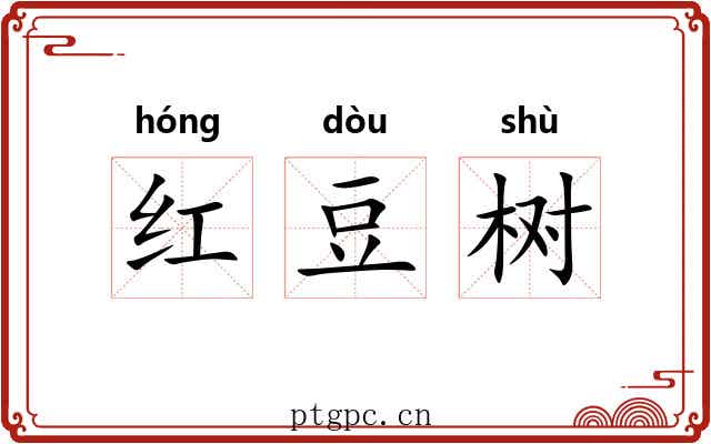 红豆树