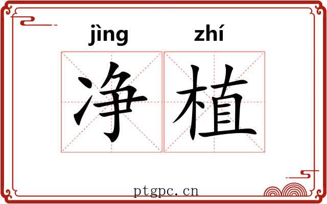 净植