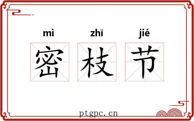 密枝节