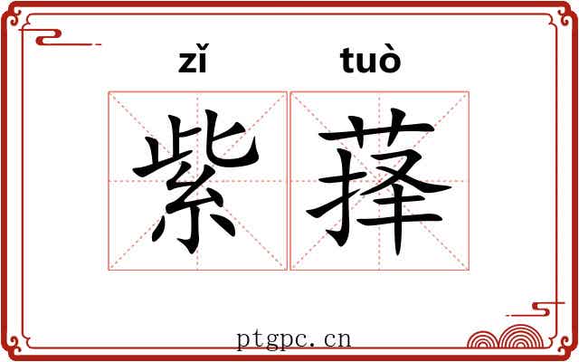 紫萚