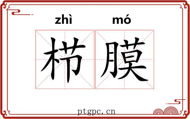 栉膜
