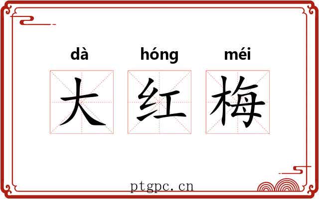 大红梅
