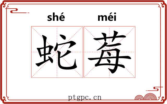 蛇莓