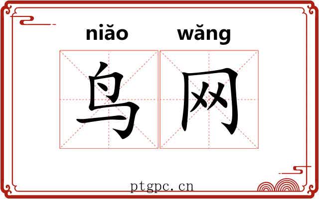 鸟网