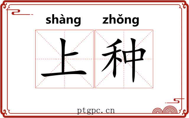 上种 上种