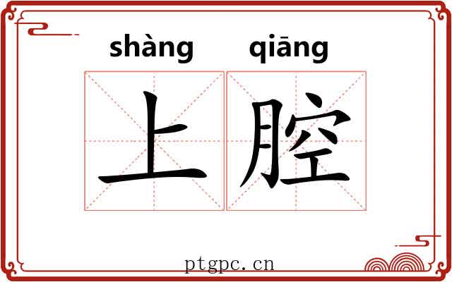 上腔 上腔