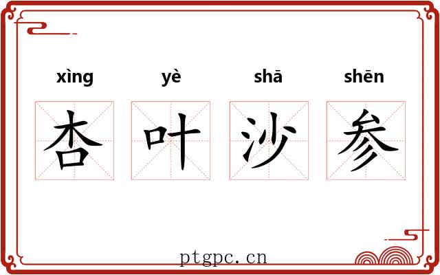 杏叶沙参 杏叶沙参