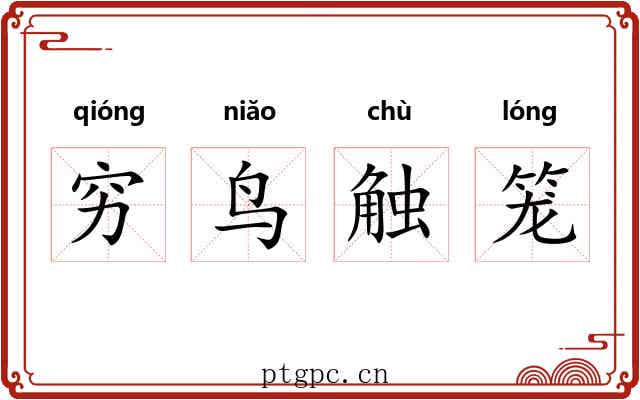 穷鸟触笼 穷鸟触笼