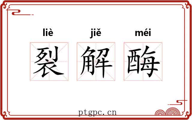 裂解酶