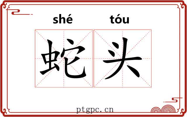 蛇头