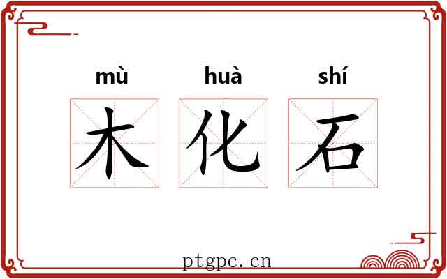 木化石 木化石