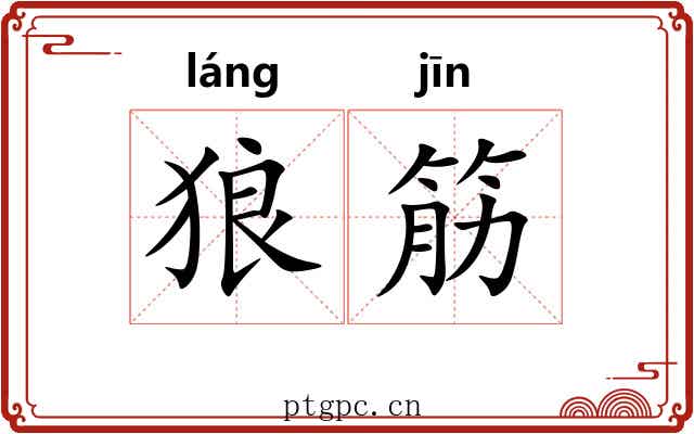狼筋 狼筋