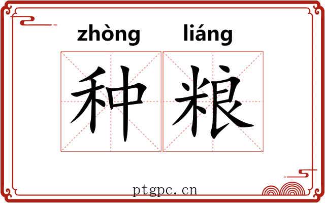 种粮 种粮