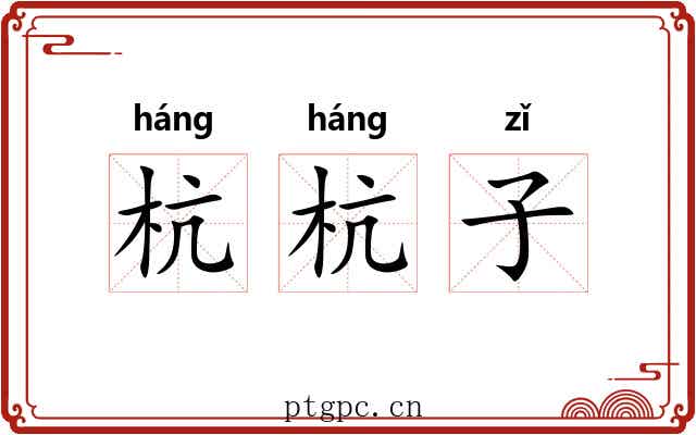 杭杭子