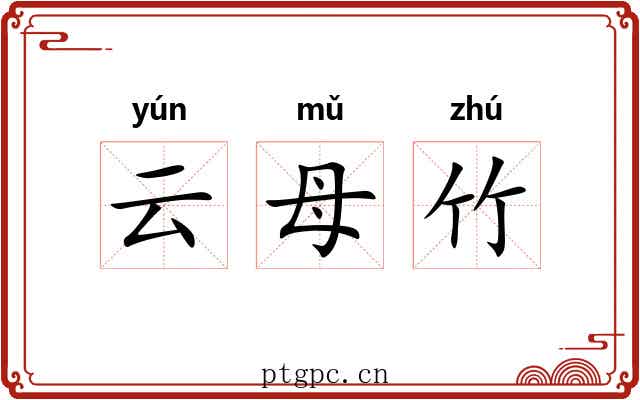 云母竹