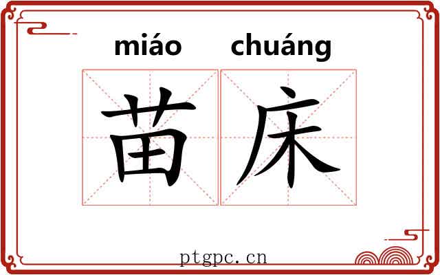 苗床 苗床