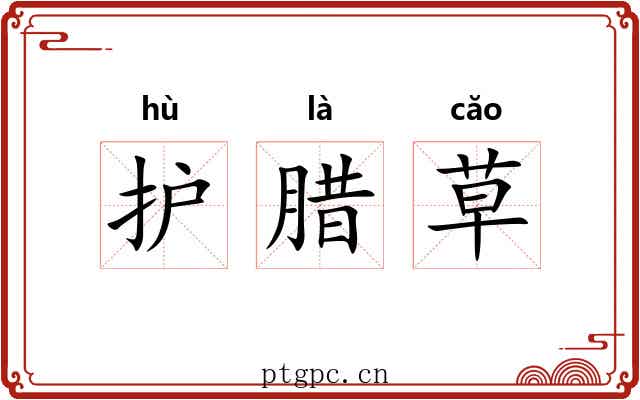 护腊草