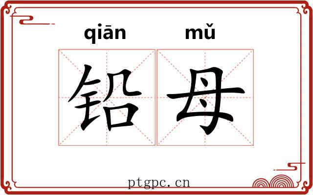 铅母