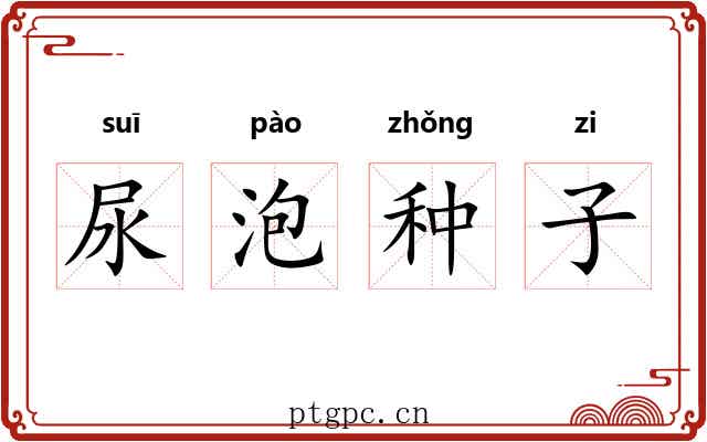 尿泡种子 尿泡种子