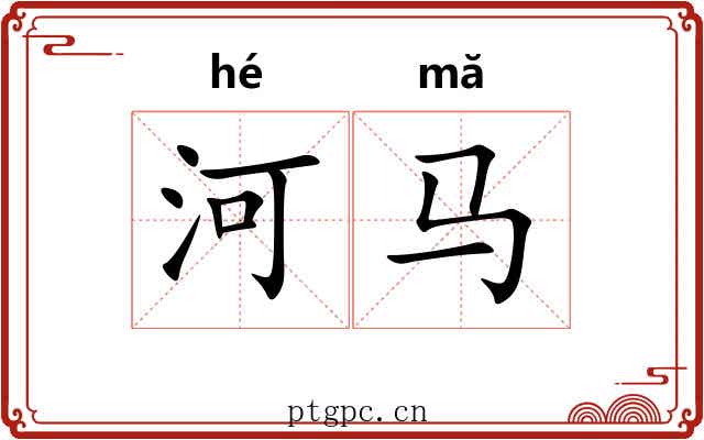河马 河马