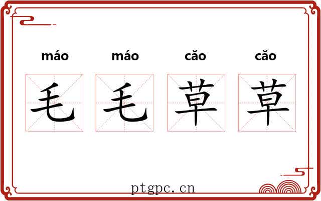 毛毛草草