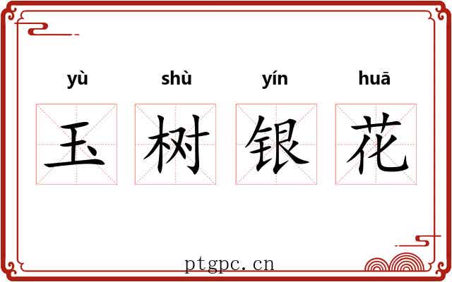 玉树银花 玉树银花