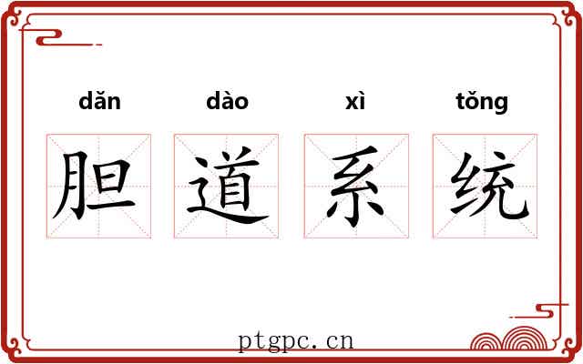 胆道系统