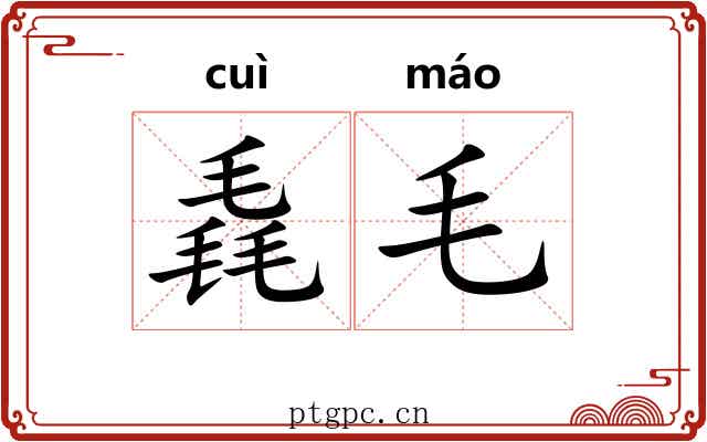 毳毛 毳毛