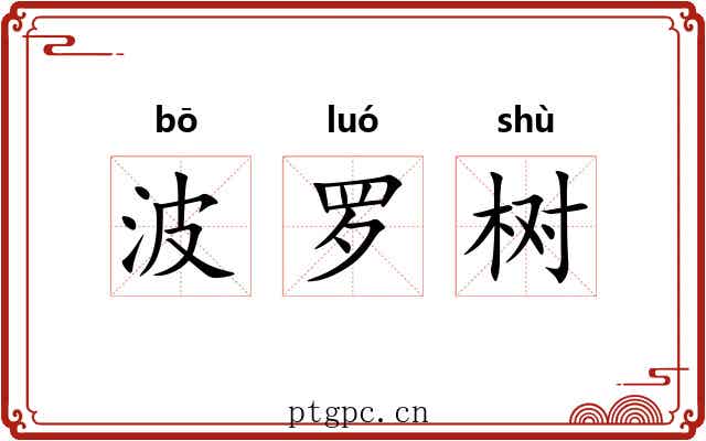 波罗树