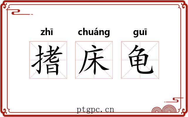 搘床龟