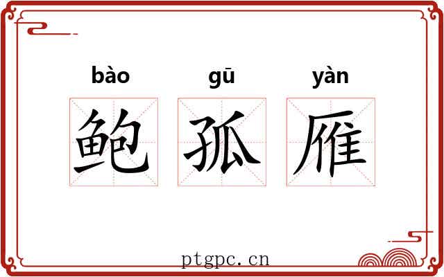 鲍孤雁