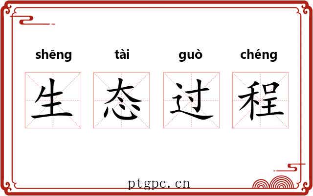 生态过程