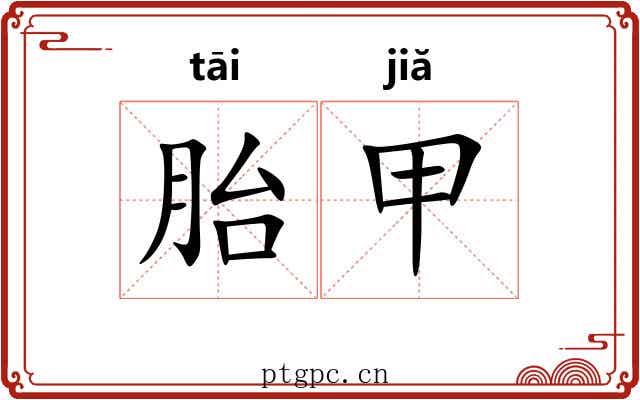 胎甲