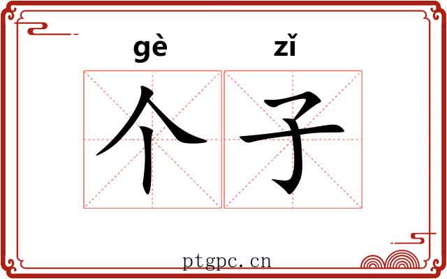 个子 个子
